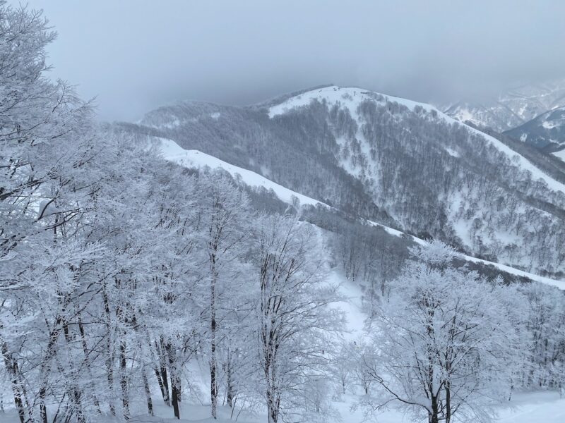 The Hakuba Valley, Japan. Image © PlanetSKI